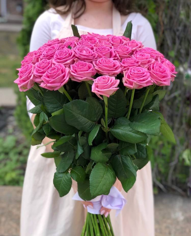 bouquet of 51 pink roses